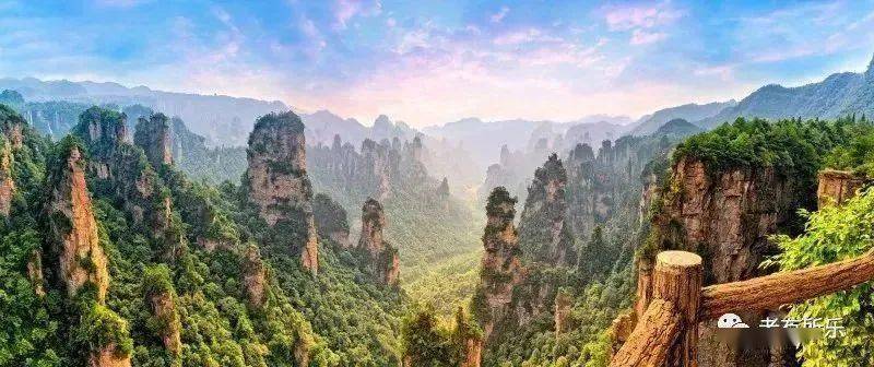 大香蕉最新网址，自然美景探险之旅，内心平和的香蕉地探寻