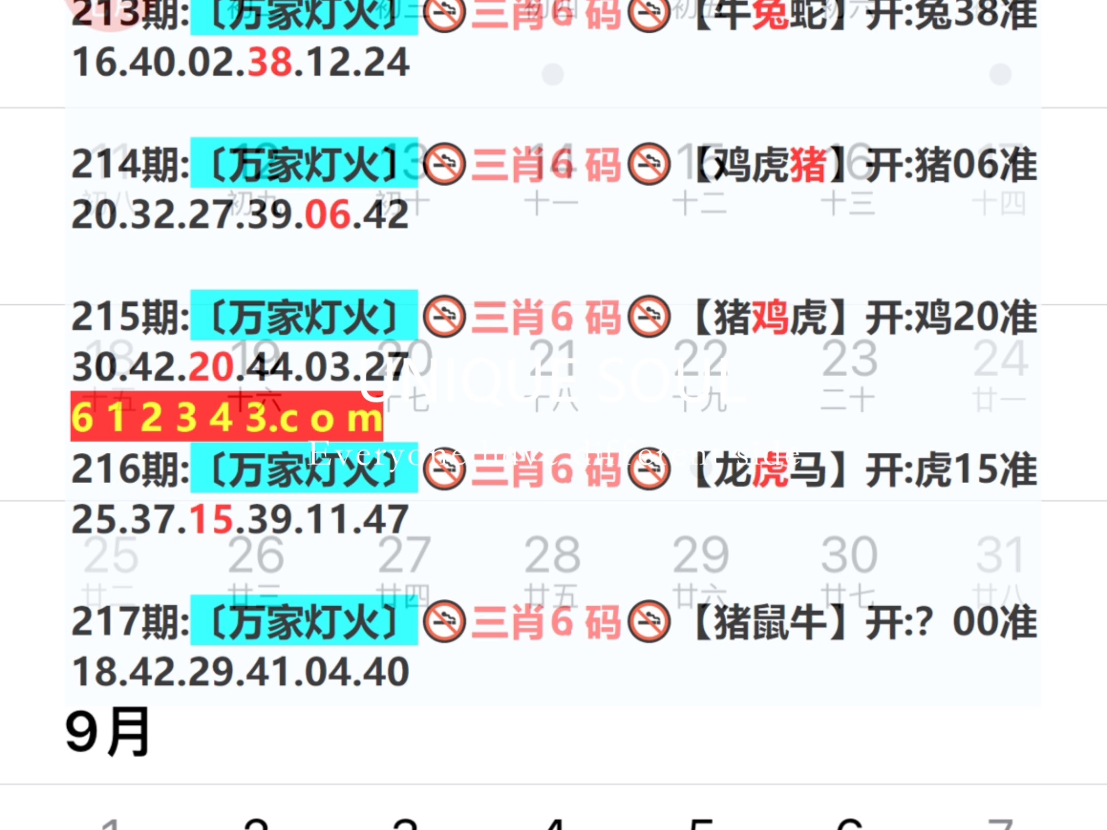 2024新澳门天天开好彩大全孔的五伏,统计信息解析说明_薪火相传版31.408