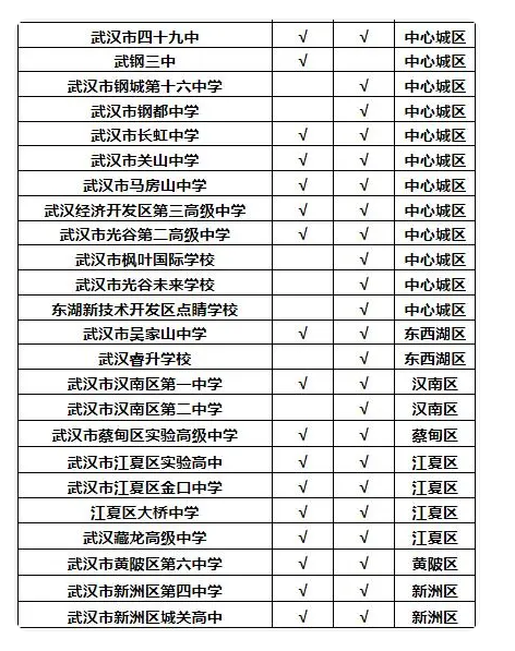 2024澳门正版免费精准大全,平衡执行计划实施_程序版31.411