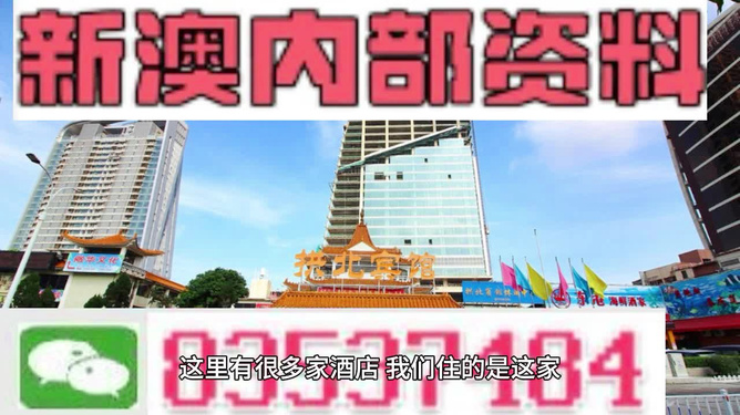 新澳精准资料期期精准,全面设计执行方案_豪华款53.395