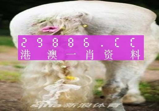 22324濠江论坛一肖一码,最佳精选解释定义_冒险版36.426