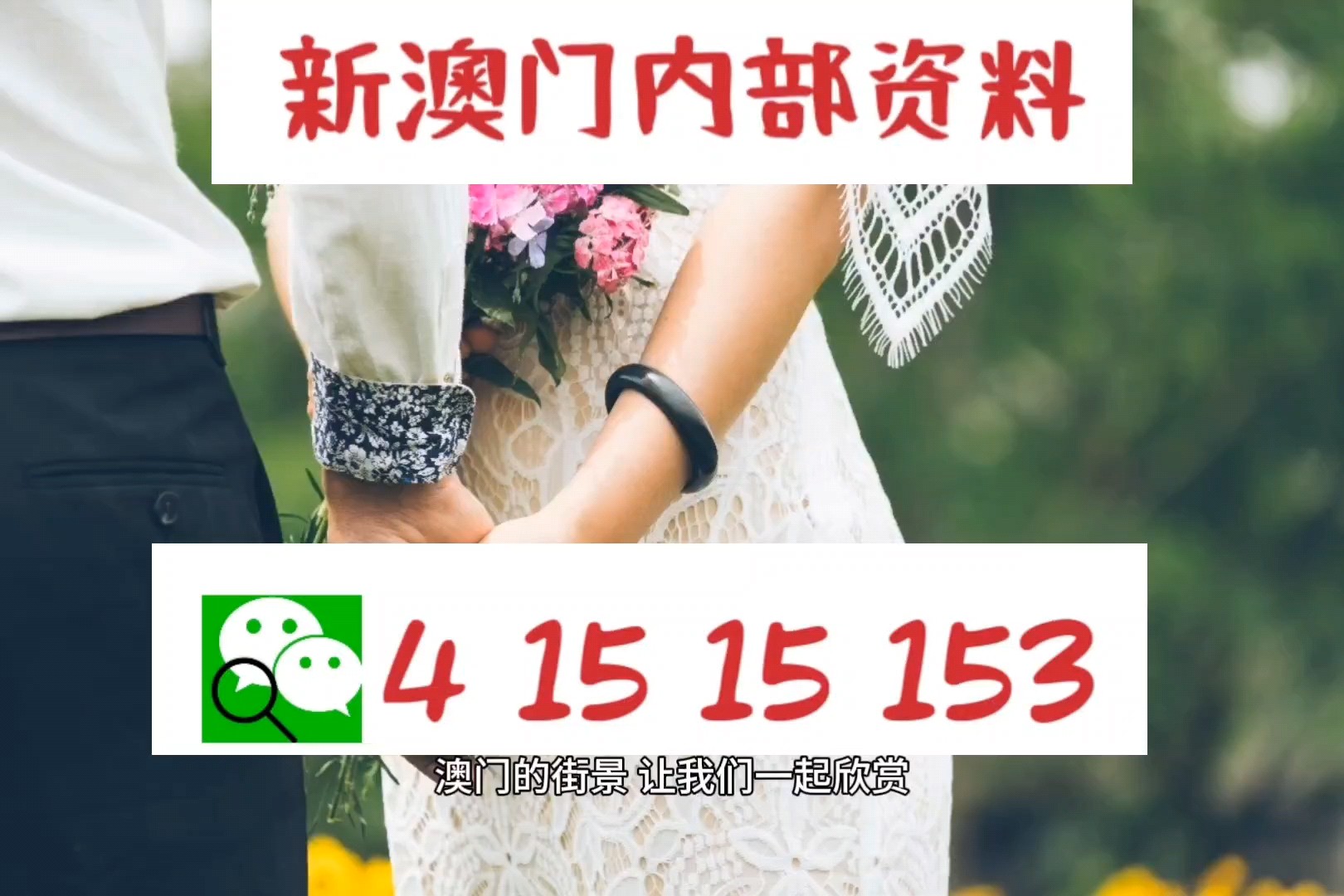 新澳门今晚开特马开奖,专业解读评估_收藏版36.291
