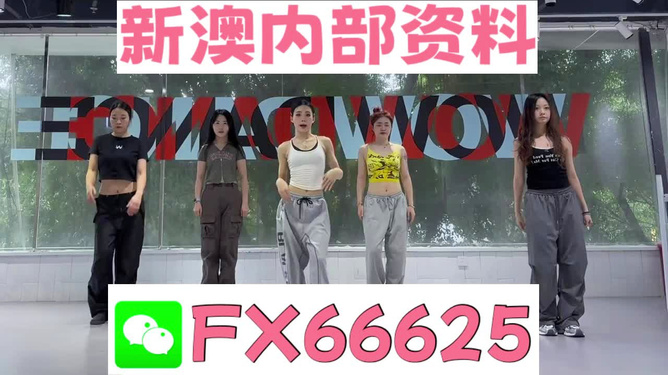 管家婆一码一肖资料免费公开,可依赖操作方案_限定版36.633