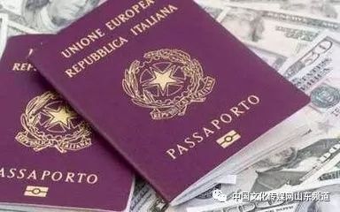 最新孤儿证办理条件详解，自然美景探索之旅启程