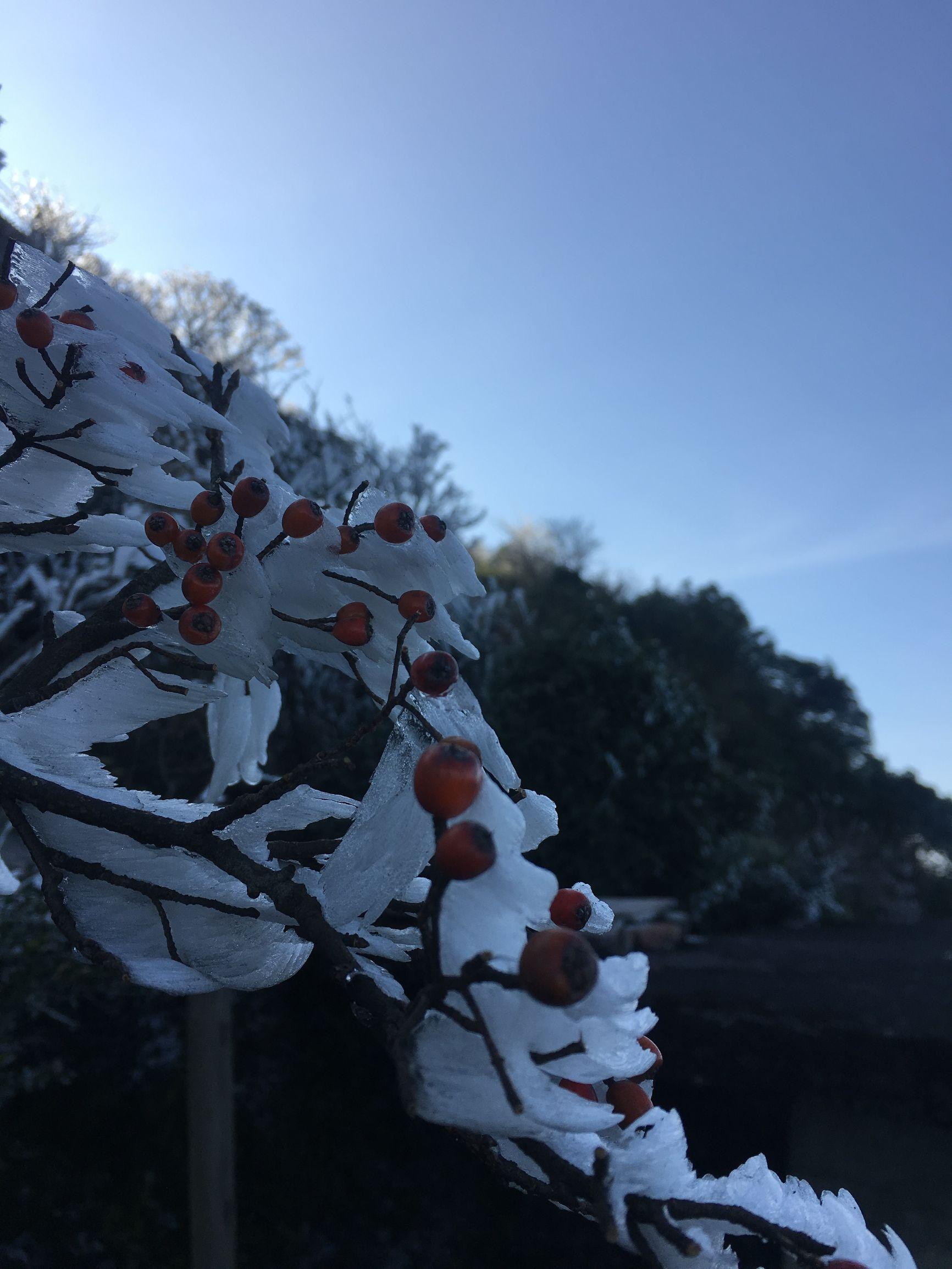最新上市流程，自然美景探索之旅盛大开启