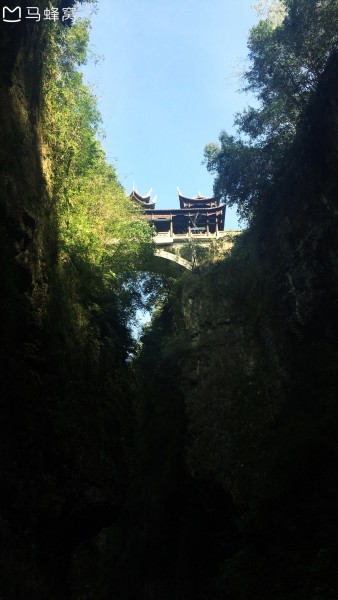 最新电梯事件，自然美景的心灵之旅探索