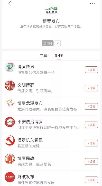 博罗最新新闻速递✨📢