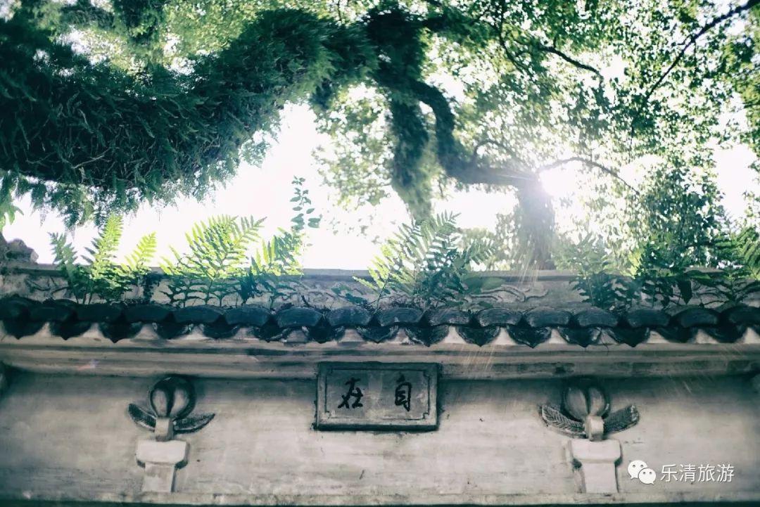 热门电视剧与巷弄深处的魅力小店，探索未知角落的惊喜